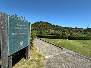 07C5213E-9484-42B1-AF31-44523E02987C.jpeg