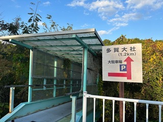 090D7AAA-88F8-43C8-865C-99F3BB3627E6.jpeg