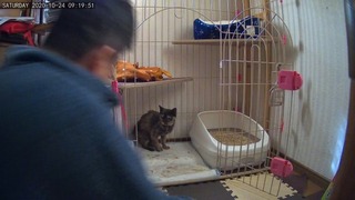 1603517812046.jpg