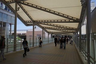 1753844945000_R0001319.jpg