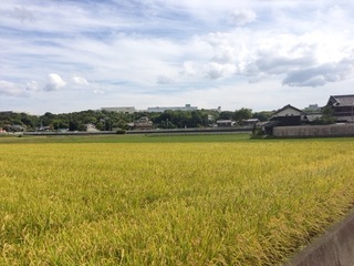 2012-10-08 13.30.22.jpg