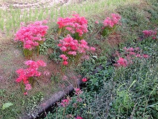 2012-10-08 13.41.26.jpg