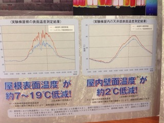 2012-12-08 07.50.29.jpg
