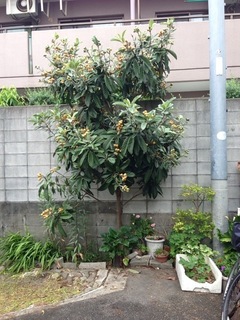 2013-05-282009.38.07.jpg