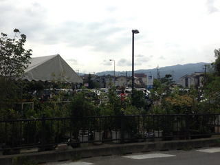 2013-07-14 08.58.16.jpg
