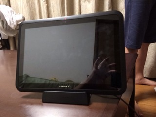2013-09-29 23.53.13.jpg