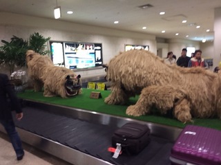 2013-12-17 10.47.03.jpg
