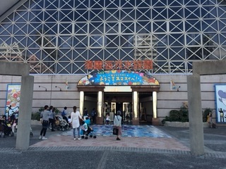 2014-10-08 11.56.18.jpg
