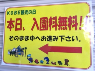 2014-10-08 11.56.43.jpg