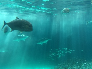 2014-10-08 11.59.45.jpg