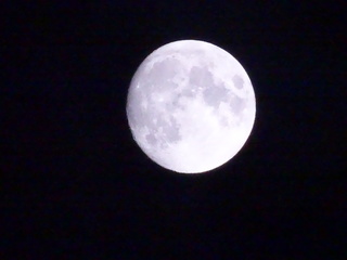 2014-11-05 19.55.02.jpg