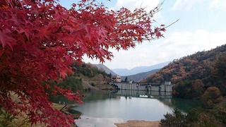 2014-11-19 02.20.16.jpg