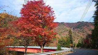 2014-11-19 10.23.55.jpg