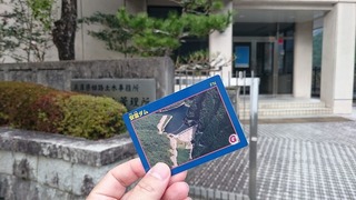 2014-11-19 14.18.17.jpg