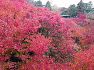 2014-11-26 12.08.32.jpg