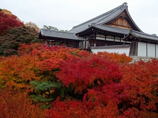 2014-11-26 12.15.09.jpg