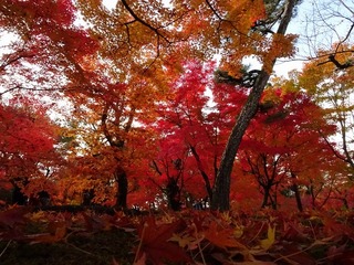 2014-11-26 13.34.20.jpg