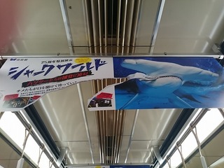 2015-08-02 15.23.16.jpg