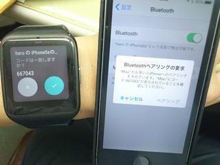 2015-09-03 10.56.55.jpg