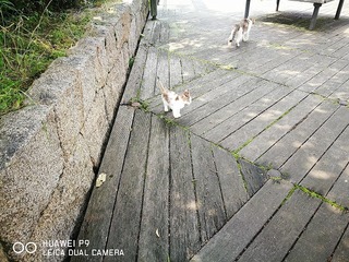 2016-06-20 14.53.03.jpg