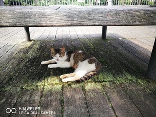 2016-06-20 14.53.51.jpg