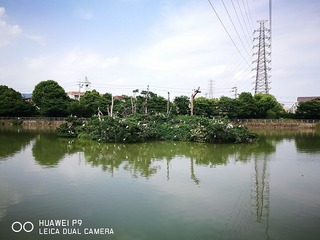 2016-06-20 14.54.45.jpg