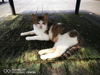 2016-06-20 14.55.47.jpg