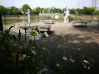 2016-06-20 14.58.02-1.jpg