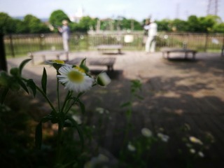 2016-06-20 14.58.02.jpg