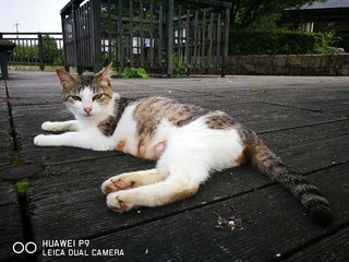 2016-06-20 15.01.30.jpg