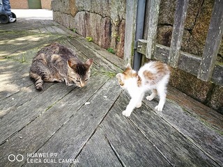 2016-06-20 15.06.54.jpg
