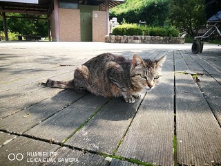 2016-06-20 15.10.29.jpg
