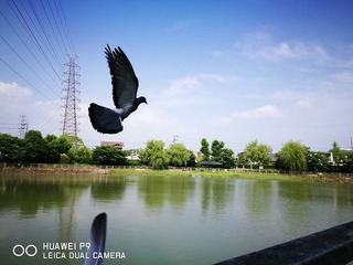 2016-06-20 15.20.26.jpg