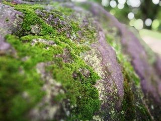 2016-06-28 15.33.18.jpg