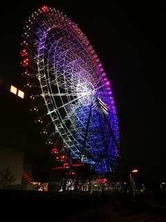 2016-06-28 19.55.05.jpg