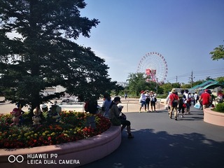 2016-07-31 09.06.28.jpg