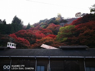 2016-11-13 14.48.59.jpg
