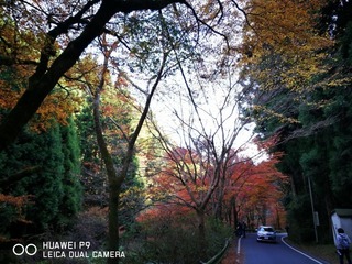 2016-11-16 13.52.24.jpg
