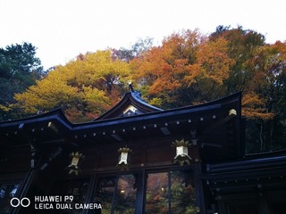 2016-11-16 14.52.23.jpg