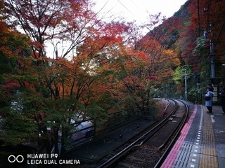2016-11-16 15.25.28.jpg
