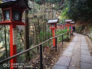 2016-11-16 16.08.26.jpg