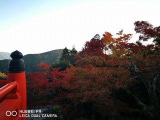 2016-11-16 16.19.57.jpg