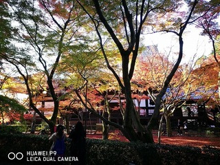 2016-11-23 14.54.57.jpg