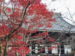 2016-11-23 15.14.37.jpg