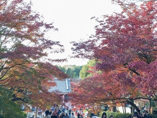 2016-11-23 15.17.07.jpg