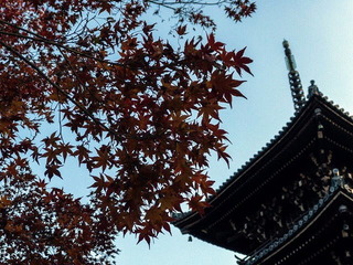 2016-11-23 15.18.50.jpg