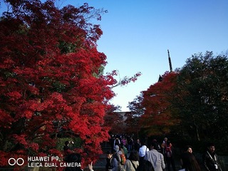 2016-11-23 15.21.56.jpg