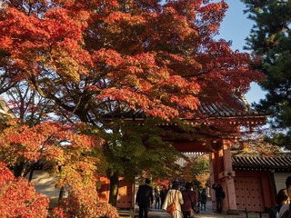 2016-11-23 15.26.36.jpg