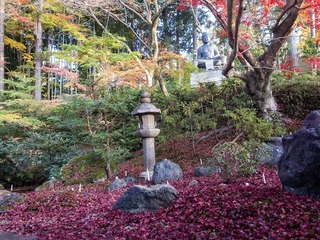 2016-11-23 15.34.19.jpg