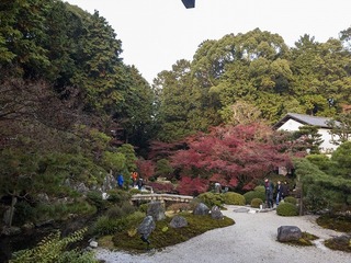 2016-11-23 16.01.12.jpg